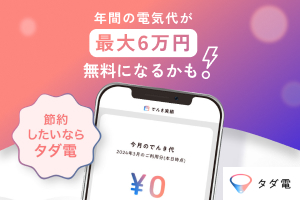 タダ電公式サイトへ